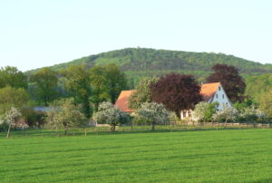 Im Hintergrund der Luisenturm