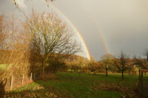 Regenbogen